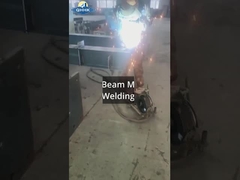 Шри-Ланка сталелитейная мастерская с проектом крана